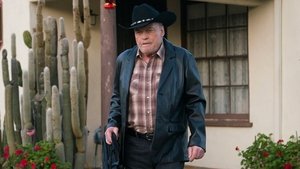 Ray Donovan Season 4 Episode 7