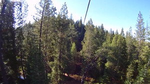 Temperate Rain Forest | StreamHub