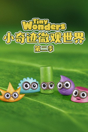 Tiny Wonders