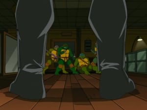 Teenage Mutant Ninja Turtles: 1×18