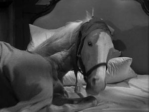 Mr. Ed: 2×13