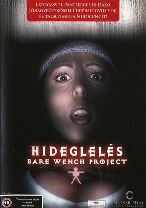 Poster Hideglelés 2000