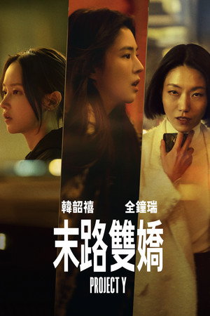 Y计划 海报