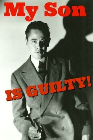 My Son is Guilty poster