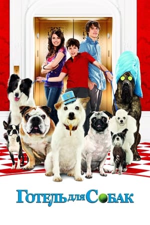 Poster Готель для собак 2009
