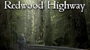 Redwood Highway