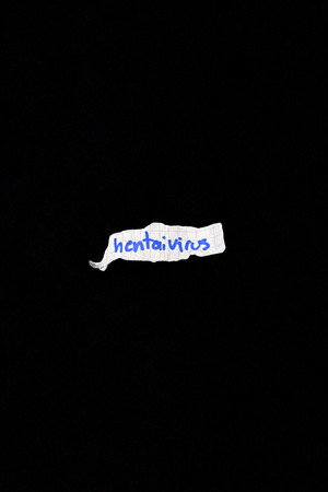 Hentaivirus