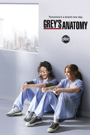 poster Grey's Anatomy