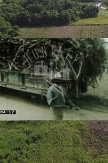 Sweetness in Abundance Everywhere