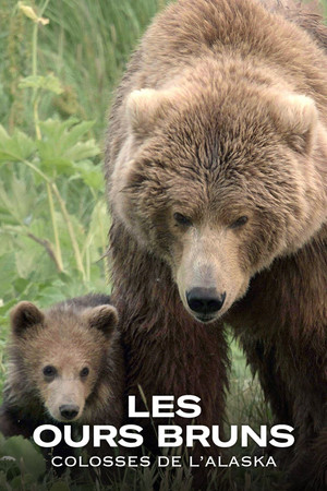 Alaska's Giant Bears 10
