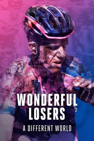 Poster Wonderful Losers: A Different World (2017)