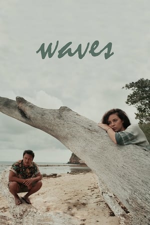 Poster Waves 2015