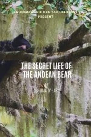 Poster La vie secrète de l’ours à lunettes 2020