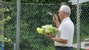 Le jardin de mon père - L'amour de mes parents film complet