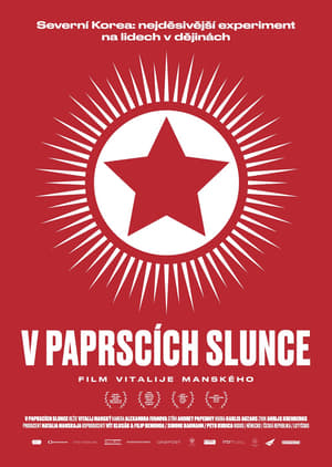 Poster V paprscích slunce 2015