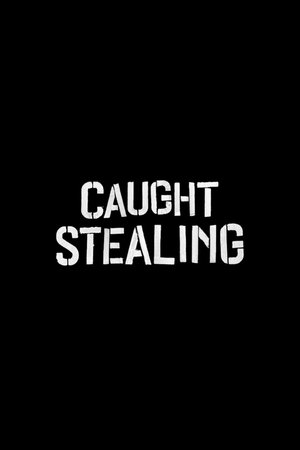 Image Caught Stealing