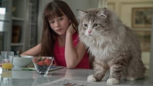 فيلم Nine Lives – تسع حيوات مترجم