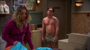 The Big Bang Theory 5 x Episodio 22