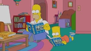 The Simpsons: 34×16