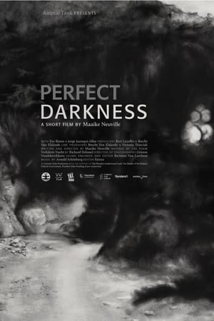 Poster Perfect Darkness (2016)