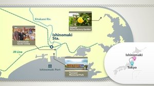 Journeys in Japan: 12×18