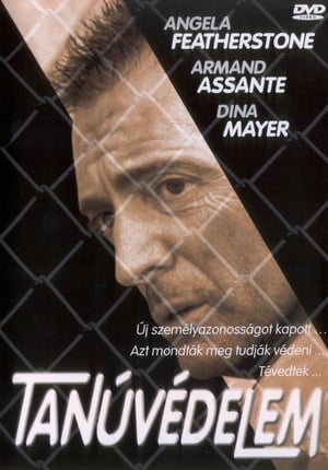 Tanúvédelem (2002)