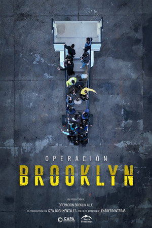 Operación Brooklyn 5