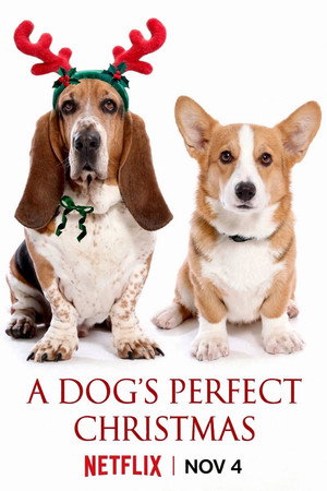 A Dog’s Perfect Christmas
