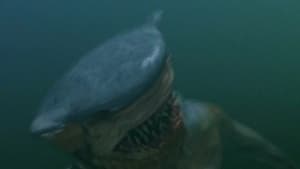 Sharkman film complet