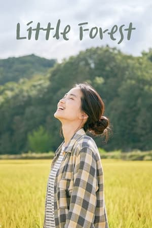 Lk21 Nonton Little Forest (2018) Film Subtitle Indonesia Streaming Movie Download Gratis Online