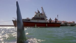 Shark Attack 2 film complet