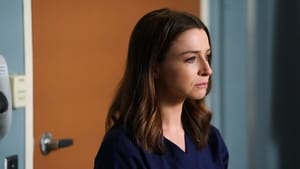 Grey’s Anatomy 14 – Episodio 3