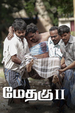 Methagu-II 9