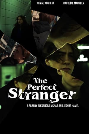 The Perfect Stranger film complet