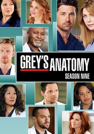 Grey's Anatomy: Säsong 9