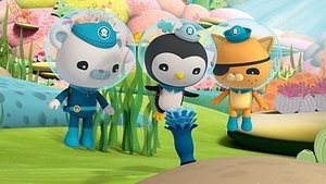 The Octonauts: 3×17