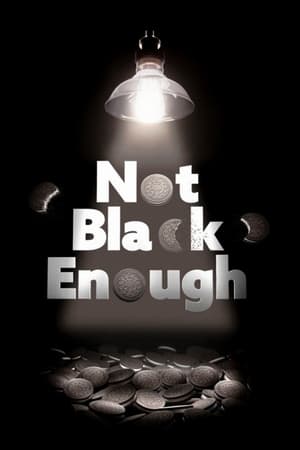 Poster Not Black Enough 2017