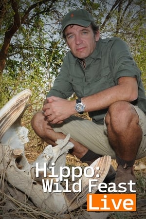 Image Hippo: Wild Feast Live