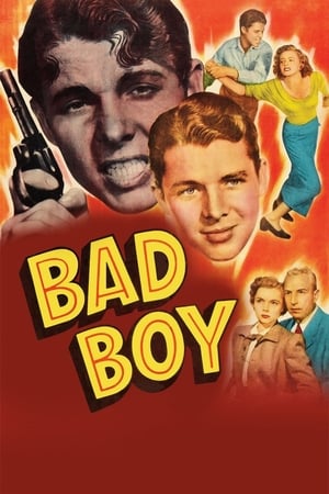 Poster Bad Boy 1949