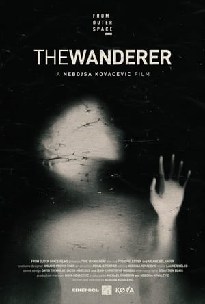 Poster The Wanderer (2022)