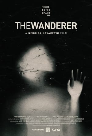 Image The Wanderer