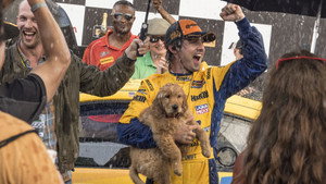 The Art of Racing in the Rain