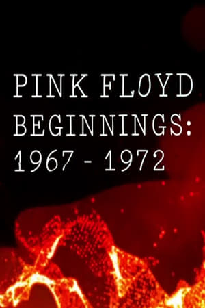 Image Pink Floyd Beginnings 1967-1972