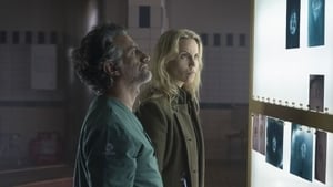 The Bridge: La serie originale 3 x 5