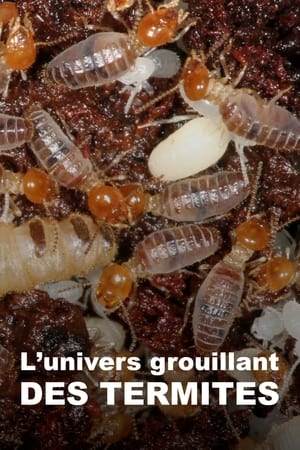 Image L'Univers grouillant des termites