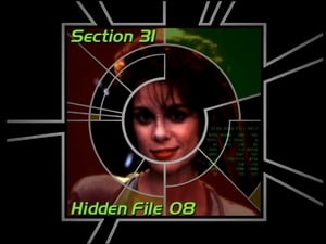 Image Section 31: Hidden File 08 (S04)