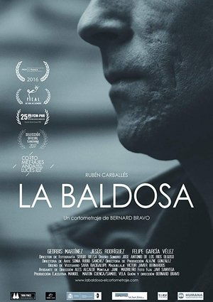 La baldosa poster