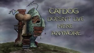 Image CatDog Doesn't Live Here Anymore