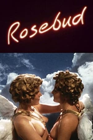 Poster Rosebud (1991)