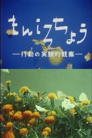 もんしろちょう－行動の実験的観察